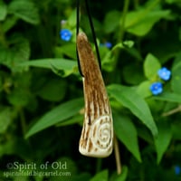Image 3 of Red Deer Antler Spiral Pendant (PE1917)