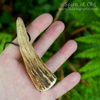 Image 4 of Red Deer Antler Spiral Pendant (PE1917)