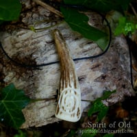 Image 5 of Red Deer Antler Spiral Pendant (PE1917)