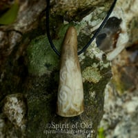 Image 6 of Antler Tree of Life Pendants (PE1918)