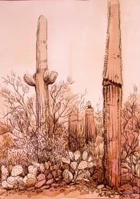 Image 1 of 🌵”The Wizard”- Desert Landscape Art Print