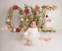 Image 6 of Combo Newborn Packages - 20% off  4th of July Sale