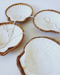 Image 3 of Vintage Wicker & Shell Dishes