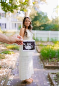 Image 1 of The Perfect Pregnancy Plan - 4th of July Sale 10%