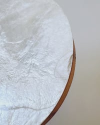 Image 5 of Shell & Wood Coastal Coasters