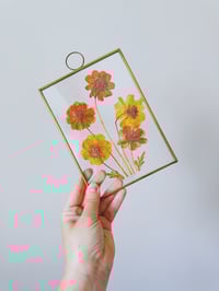 Image 1 of Vintage Dried Floral Sun Catcher