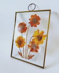 Image 4 of Vintage Dried Floral Sun Catcher