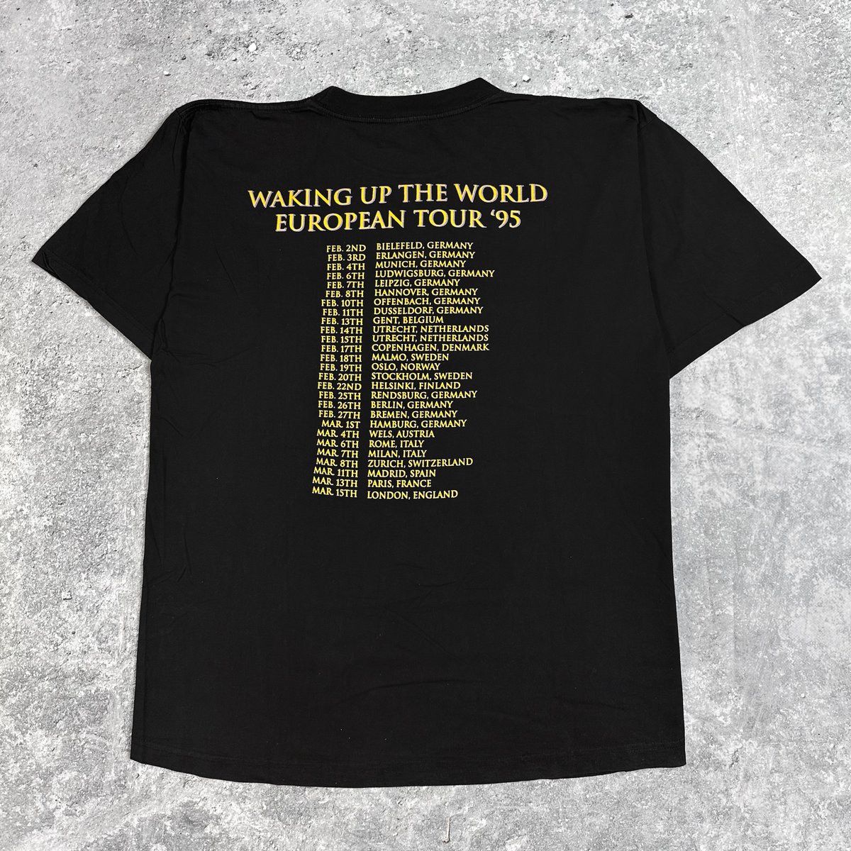 Dream Theater 1995 'Awake' T-Shirt | NLVintage