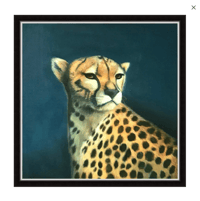 Image 2 of Cheetah 
