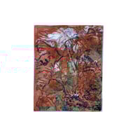 Image 1 of Clay Visions (original)