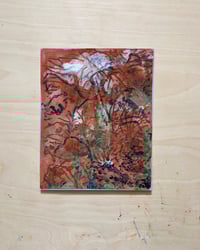 Image 3 of Clay Visions (original)
