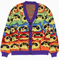 Image 1 of Rainbow Raccoon Cardigan