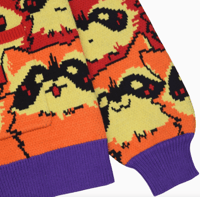 Image 6 of Rainbow Raccoon Cardigan