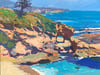 The Cliffs of South Laguna