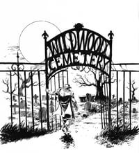 The Spirit Of Wildwood