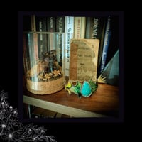 Image 2 of ☽ Amazona Hedera Automna ☾