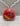 Apple Blossom