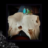 Image 3 of ☽ Amazona Hedera Automna ☾