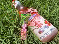 Image 5 of Ramune Plant Keychains