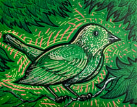 Image 1 of Small Bird