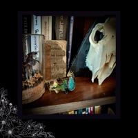 Image 4 of ☽ Amazona Hedera Automna ☾