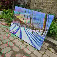 Image 3 of - Facing Winter -