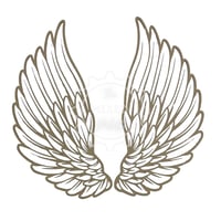 Image 2 of LARGE Angel Wings