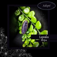 ☽ Lepidos ☾