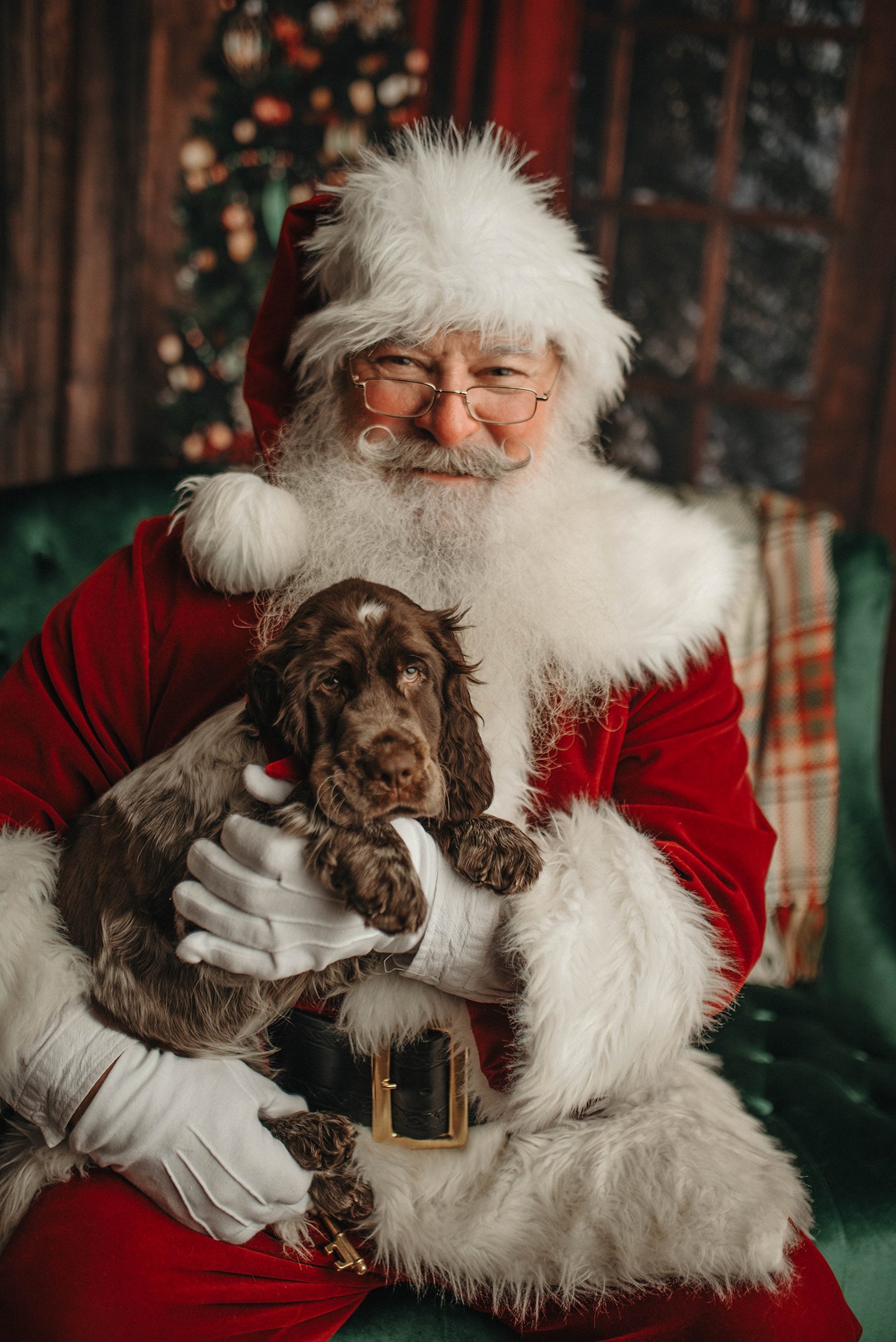 Image of The Santa Experience | Santa Donnie