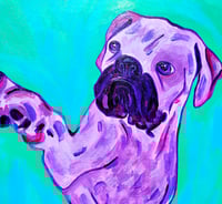 Image 3 of Purple Boxer Pawing Teal