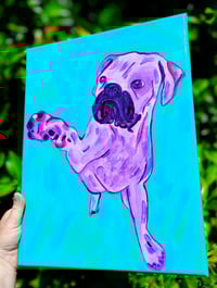 Image 2 of Purple Boxer Pawing Teal