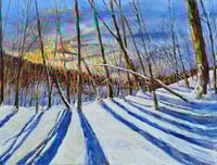 Image 1 of - Facing Winter -