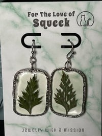 Image of Forever Fern