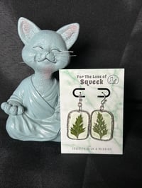 Image of Forever Fern