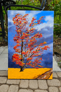 Image 3 of - Maple Grove Retreat -