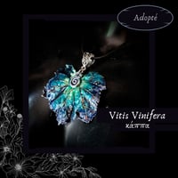 Image 10 of ☽ Vitis Vinifera ☾