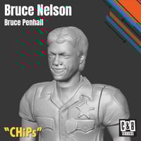 Image 1 of CHIP's Bruce Nelson
