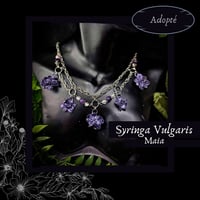 Image 1 of ☽ Syringa Maia ☾