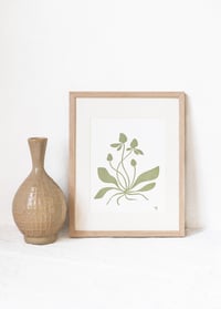 Image 1 of Letterpress Print - Luonto