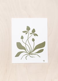 Image 2 of Letterpress Print - Luonto