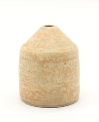 Image 4 of Bug Vase 2