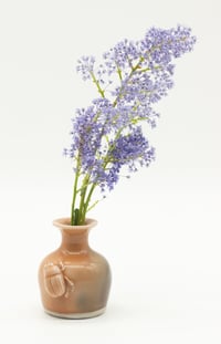 Image 1 of Bug Vase 3