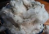 Tunis - Washed Fleece