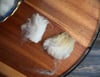 Tunis - Washed Fleece