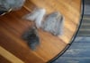 Fine Lilac Jacob - Washed Fleece
