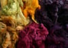 Plum Ginger Pie  Play Pack - Romeldale