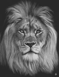 Image 1 of Original art “Silent majesty” 
