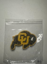 Colorado State University V2