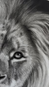Image 3 of Original art “Silent majesty” 