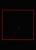 Image of Orgy of Carrion – Blood Washed Away the Grave Purity CD